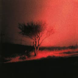 Piss In The Wind - Joji