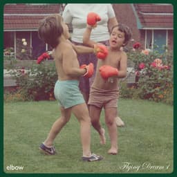 Flying Dream 1 - Elbow