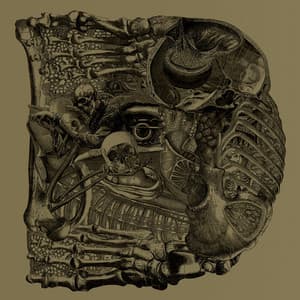 Dear - Boris