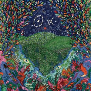 A Walk in the Woods - Nous Alpha