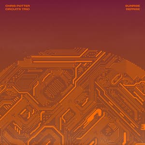 Sunrise Reprise - Chris Potter