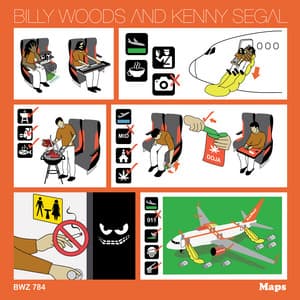Maps - billy woods