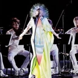 Vulnicura Strings