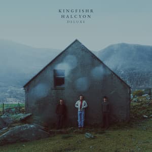 Halcyon - Kingfishr