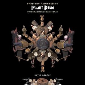 In the Groove - Mickey Hart