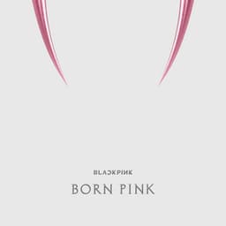 BORN PINK