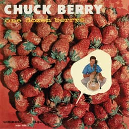 One Dozen Berry's