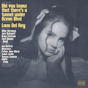 Did you know that there's a tunnel under Ocean Blvd - Lana Del Rey