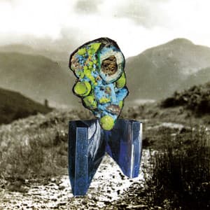 The Glass Trunk - Richard Dawson