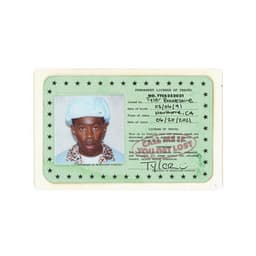 CALL ME IF YOU GET LOST - Tyler, The Creator