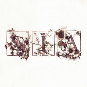 Colour The Small One - Sia