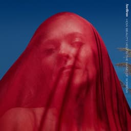 How Beauty Holds The Hand Of Sorrow - Ane Brun