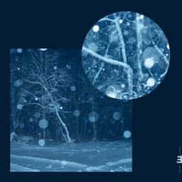 Call For Winter II: Resonance - Daniel Herskedal