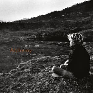 Alchemy: An Index Of Possibilities - David Sylvian