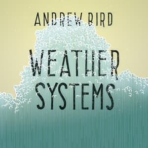 Weather Systems - Andrew Bird