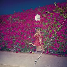 Pleasure - Feist