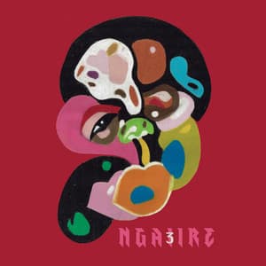 3 - Ngaiire