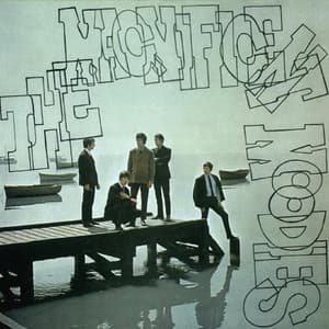 The Magnificent Moodies - The Moody Blues