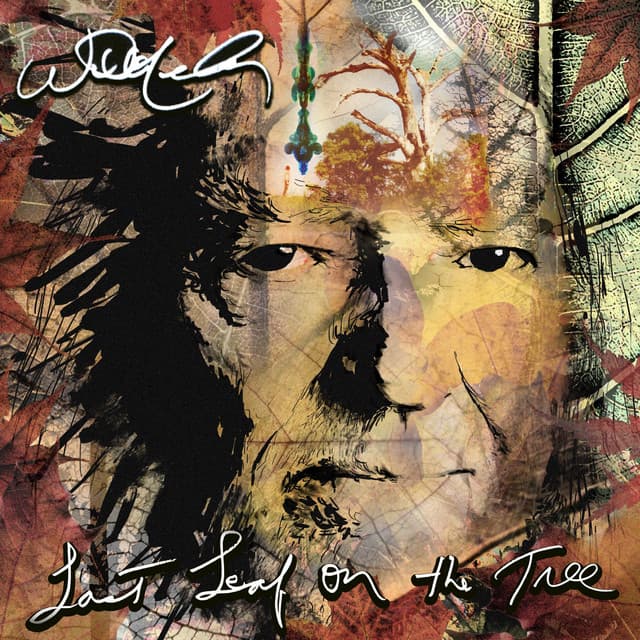Last Leaf On The Tree - Willie Nelson