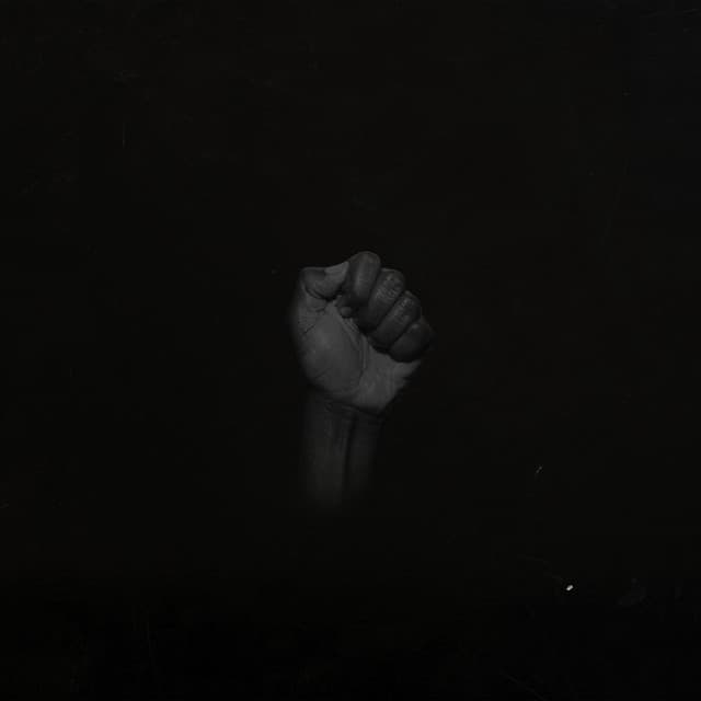 Untitled - SAULT