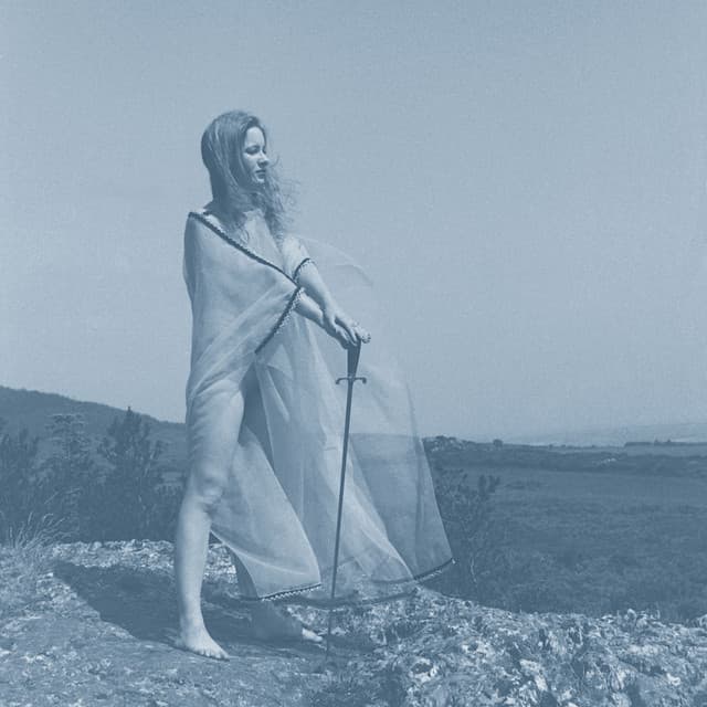 II - Unknown Mortal Orchestra