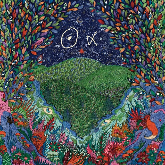 A Walk in the Woods - Nous Alpha