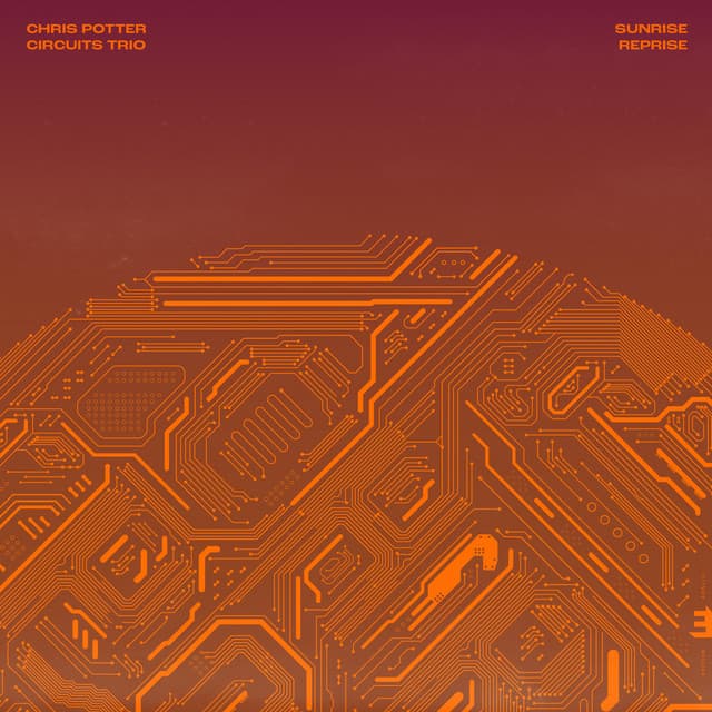 Sunrise Reprise - Chris Potter