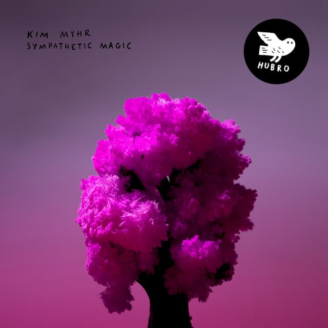 Sympathetic Magic - Kim Myhr