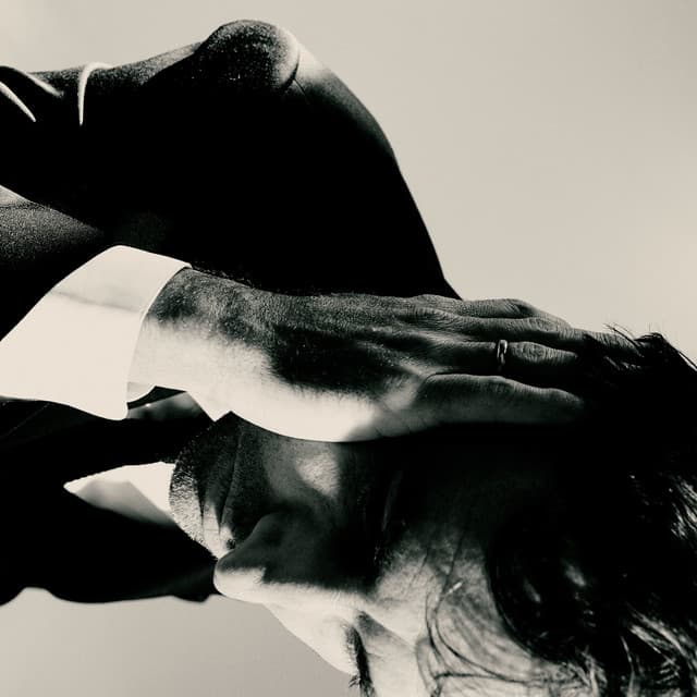Inside Problems - Andrew Bird
