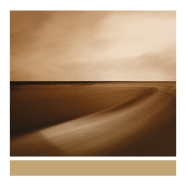 Small Craft On A Milk Sea - Brian Eno