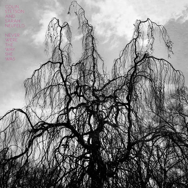 Never Were the Way She Was - Colin Stetson