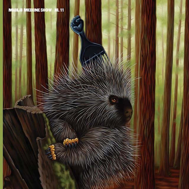 Low Budget High Fi Music - Madlib