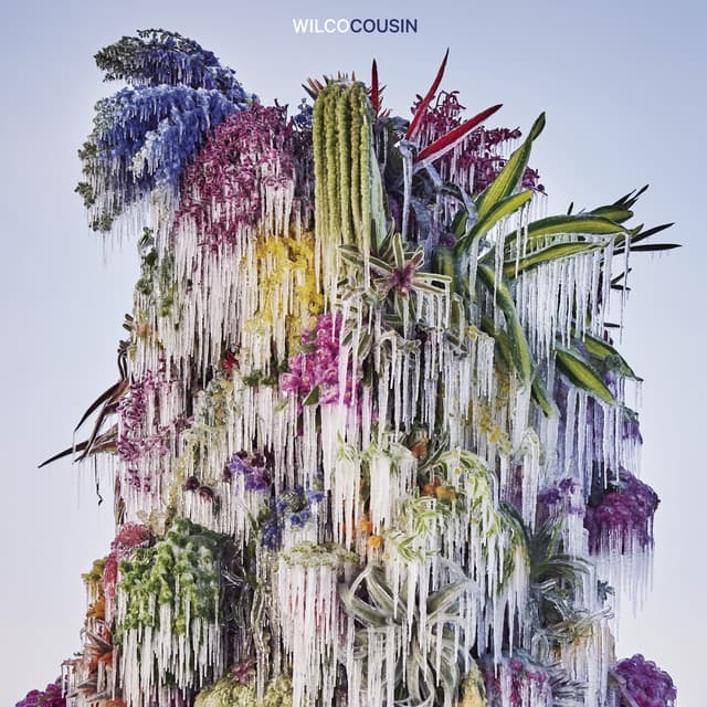 Cousin - Wilco