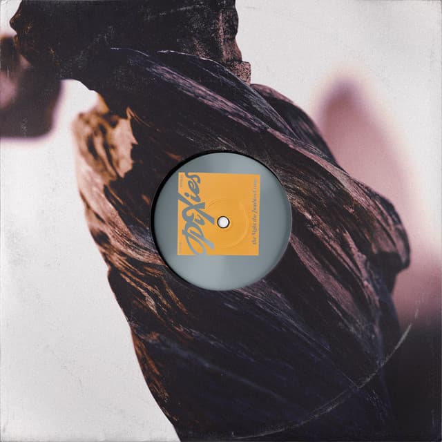 The Night the Zombies Came - Pixies