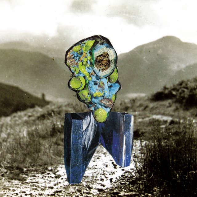 The Glass Trunk - Richard Dawson