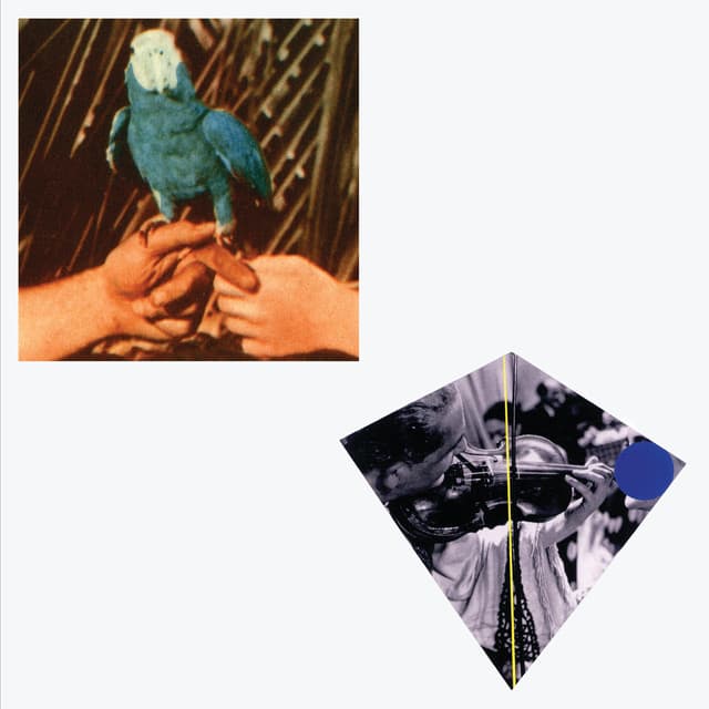Are You Serious - Andrew Bird