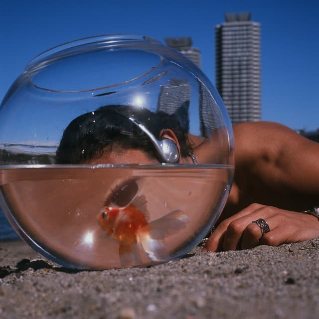 La Plage - Moha MMZ