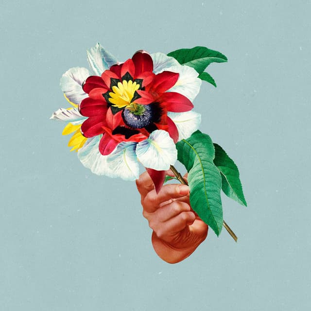 Kingdoms In Colour - Maribou State