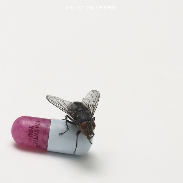 I'm with You - Red Hot Chili Peppers
