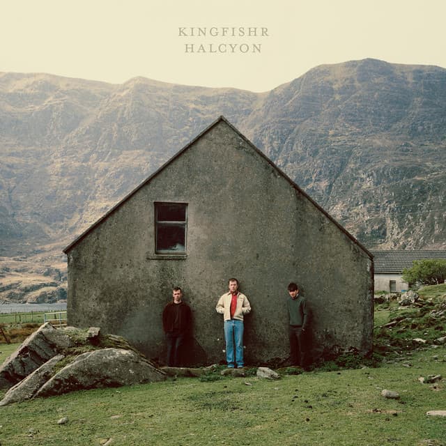 Halcyon - Kingfishr