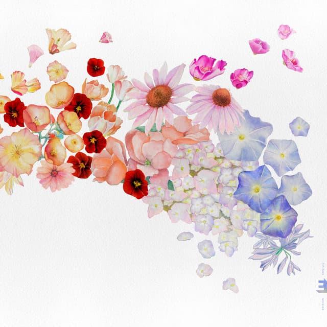 Flor - Gretchen Parlato