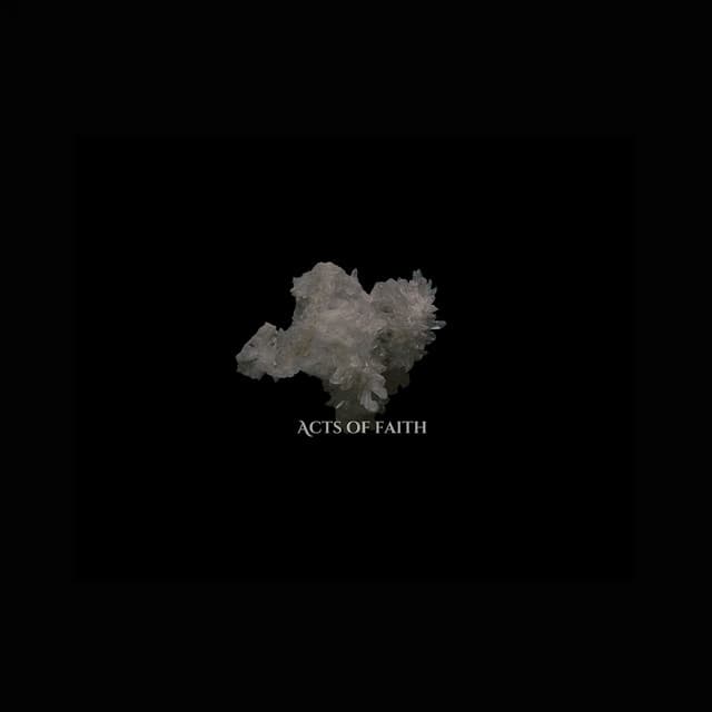 Acts of Faith - SAULT