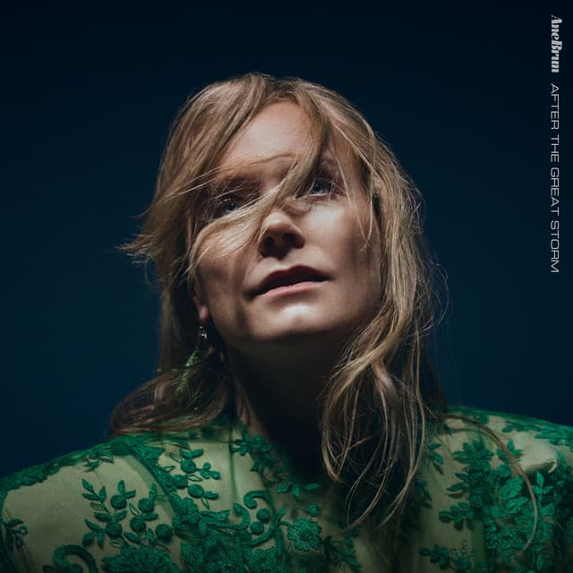 After The Great Storm - Ane Brun