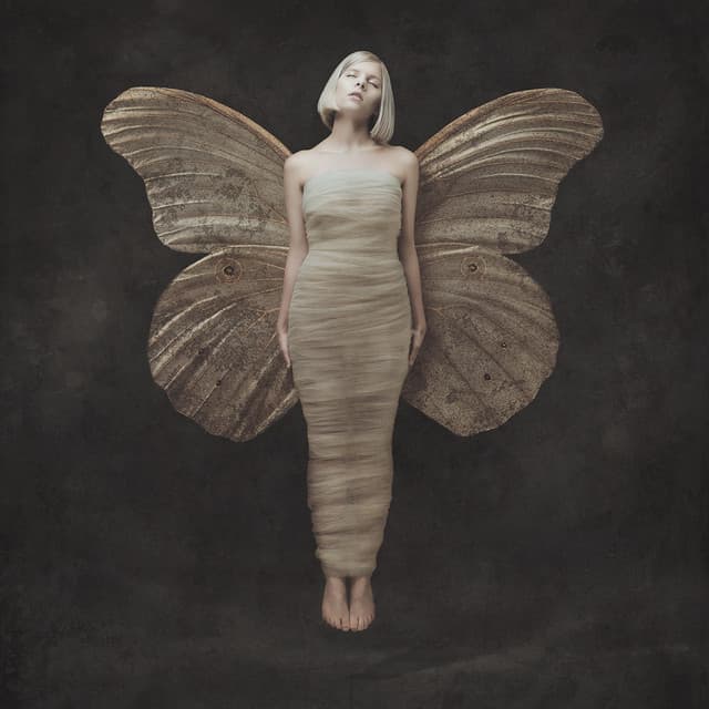 All My Demons Greeting Me As A Friend - AURORA