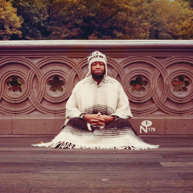 Segue To Infinity - Laraaji
