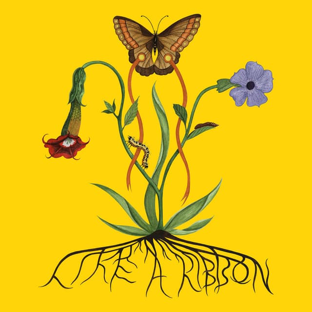 Like A Ribbon - John Glacier